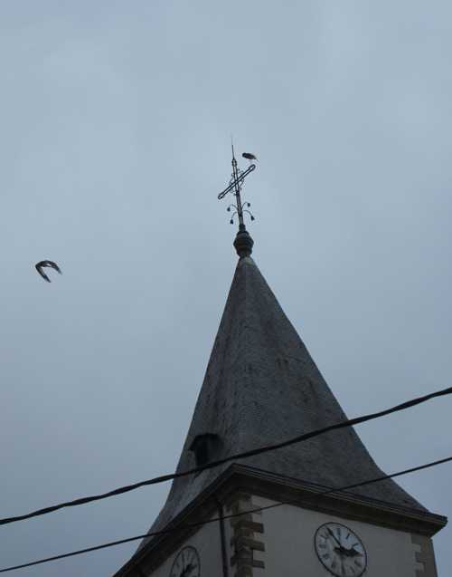 Lors de ces explications autour de l'église, deux cigognes prirent place sur le clocher.