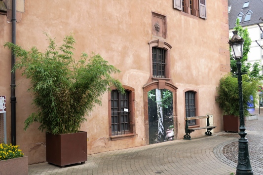 Une des façades de l'Ancienne Douane est orné de l'emblème de Haguenau (la rose quintefeuille) et d'une photo d'arbre. Ces images d'arbres disséminées dans la ville des de