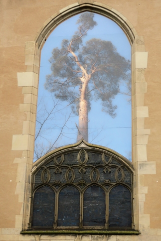 La façade arrière du Musée est aussi orné d'une phtographie d'arbre.